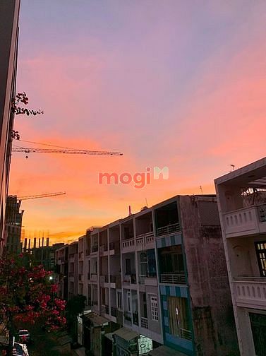 Hình ảnh Studio View Hoàng Hôn Cực Chill - Thân Thiện Với Thú Cưng 🌅