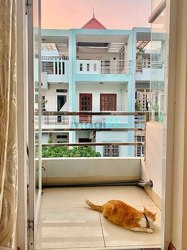 Hình ảnh Studio View Hoàng Hôn Cực Chill - Thân Thiện Với Thú Cưng 🌅