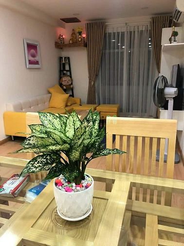 Hình ảnh ♥️Chung cư StarLight NGUYỄN VĂN LUÔNG Quận 6♥️ ✅DT : 72m2  2PN 2WC