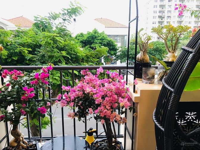 Hình ảnh Cho thuê Cảnh Viên 2 Phú Mỹ Hưng nhà đẹp.