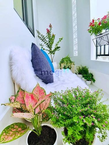 Hình ảnh Phòng Studio full nội thất có bancol