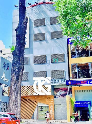 Hình ảnh Cho Thuê Toà Nhà Mặt Tiền 6B Phạm Ngọc Thạch, Quận 3