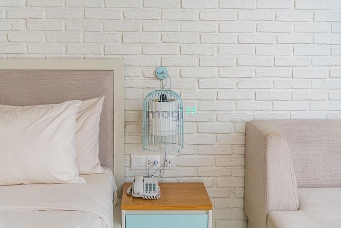 Hình ảnh Leaf Living - Người Bạn Tâm Giao Hoàn Hảo