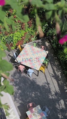 Hình ảnh Leaf Living - Người Bạn Tâm Giao Hoàn Hảo