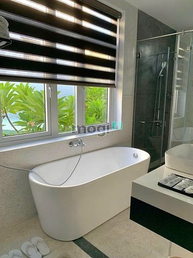 Hình ảnh Cho thuê nhà sân vườn 4 phòng ngủ