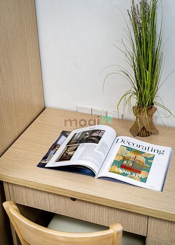 Hình ảnh Cho thuê Studio Full NT, full gia dụng bếp, Nguyễn Trãi, Quận 1
