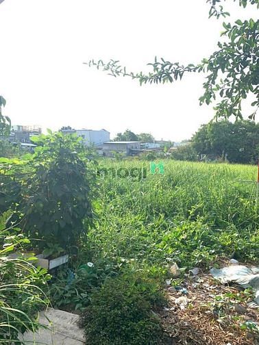 Hình ảnh Bán 1600m2 đất kdc 3A, phường An Bình, Quận Ninh Kiều.