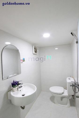 Hình ảnh Cho thuê Trang Chủ MB66.COM / Đăng Ký Tặng 66K duplex full nội thất trung tâm Quận 7 cửa sổ thoáng