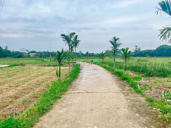 Hình ảnh Đất nền sẵn thổ cư ven khu công nghiệp VSIP 8 Quảng Trị