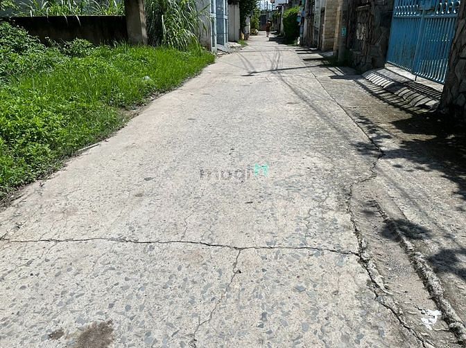 Hình ảnh Đất ôtô thông, ngang 6 mét-Gần chợ Thới Tứ-Hóc Môn - 108m2-Nhỉnh 3 tỷ