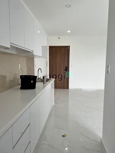 Hình ảnh Chuyên Cho Thuê Căn Hộ D'lusso