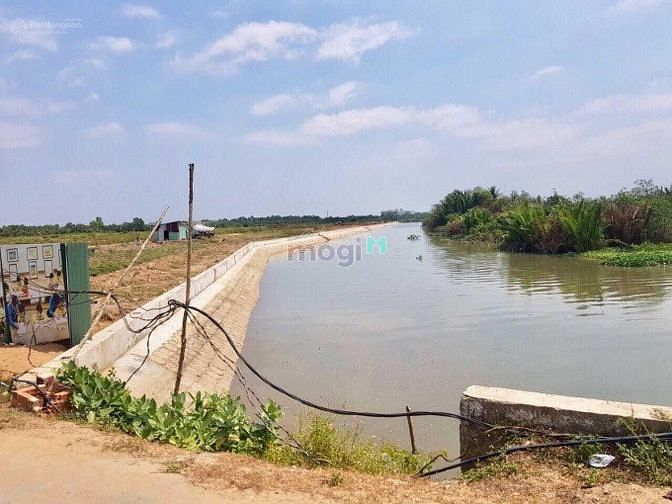 Hình ảnh Ra nhanh lô đất ở đường Tam Đa, Quận 9 . 80m²/2tỷ1. SHR