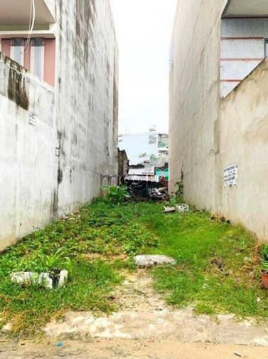 Hình ảnh Tuần đầu mở bán khu đất đường Bông Sao - phường 5 - Quận 8, sổ riêng