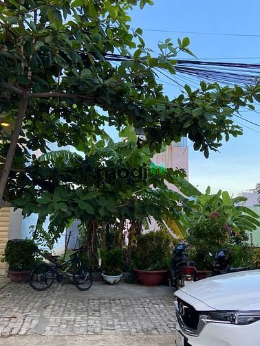 Hình ảnh Bán lô đất đep MT Lý Tử Tấn, sát hải sản Bà Rô, đầu tuyến Sơn Trà