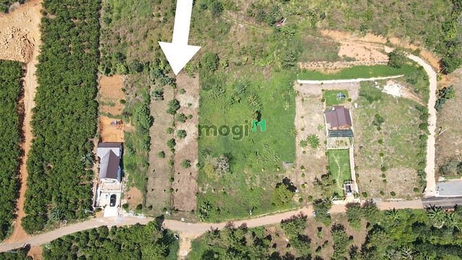 Hình ảnh Bán 2 lô đất view săn mây nghỉ dưỡng QL55 Lộc Thành