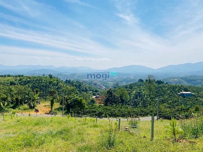 Hình ảnh Bán 2 lô đất view săn mây nghỉ dưỡng QL55 Lộc Thành