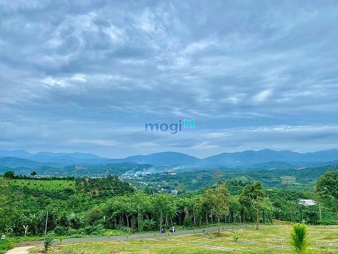 Hình ảnh Bán 2 lô đất view săn mây nghỉ dưỡng QL55 Lộc Thành