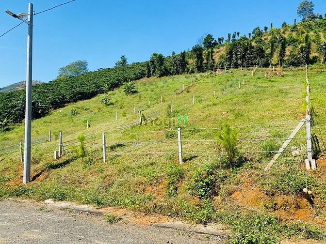 Hình ảnh Bán 2 lô đất view săn mây nghỉ dưỡng QL55 Lộc Thành