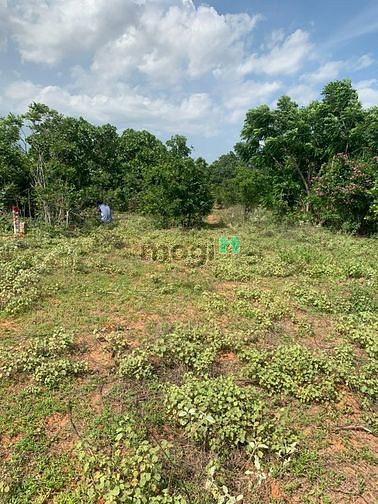 Hình ảnh Đầu tư 2362m2 đất PRThành (có đường). Vị trí đẹp hết nước chấm