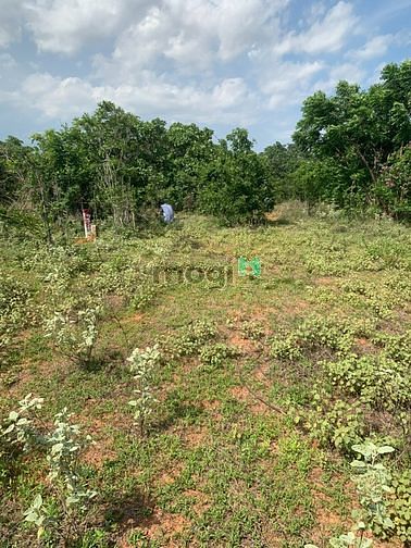 Hình ảnh Đầu tư 2362m2 đất PRThành (có đường). Vị trí đẹp hết nước chấm
