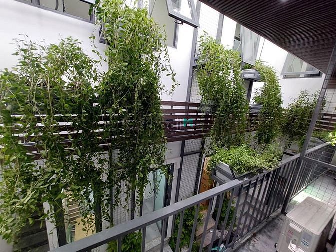 Hình ảnh CHDV 22 phòng - 195M2 ĐẤT   - THUÊ  165TR/THÁNG -đường Điện Biên Phủ