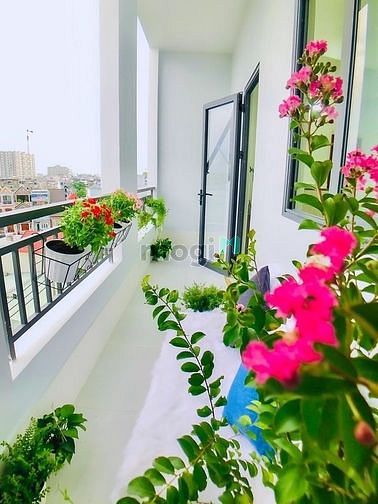 Hình ảnh Trống lại phòng full nội thất có bancol riêng gần sân bay Tân Sơn Nhất