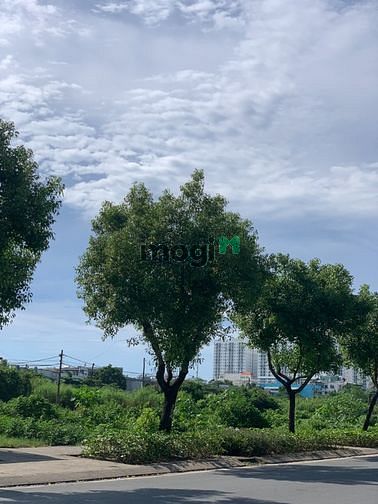 Hình ảnh Đất vàng 89m2 Nguyễn Duy Trinh, Bình Trưng Đông, Q 2, giá 3tỷ200, shr.