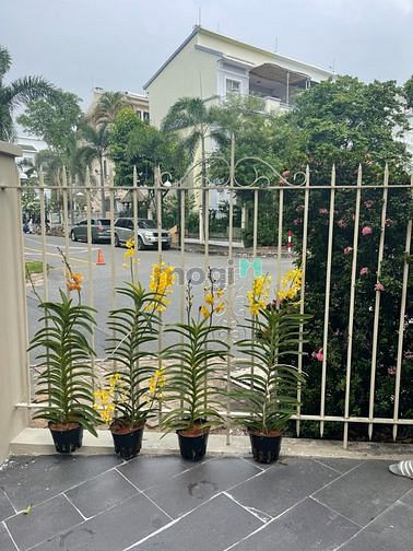 Hình ảnh Cho thuê Biệt thự Hưng Thái, Quận 7, Tp.HCM . DT 200m2 . 4pn, 48tr/th.