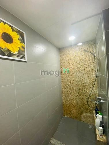 Hình ảnh Chính chủ bán Trang Chủ MB66.COM / Đăng Ký Tặng 66K 2PN full nội thất khu Ruby - Celadon City