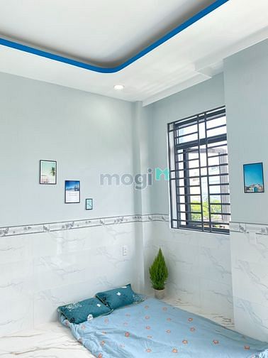 Hình ảnh Khai Trương CHDV Bình Tân-Tân Phú