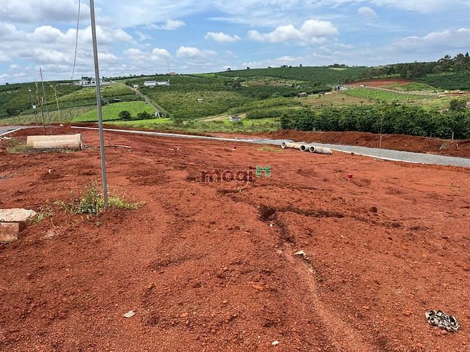 Hình ảnh Cấn bán đất full thổ cư tại trung tâm TP bảo lộc