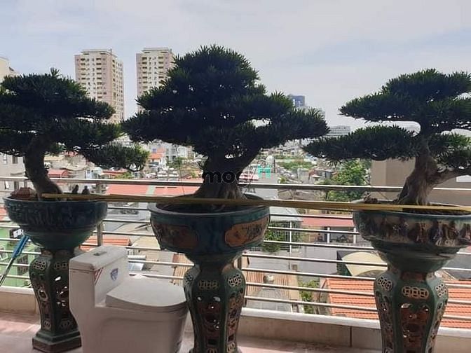 Hình ảnh bán nhà mặt phố THỊNH QUANG -ĐỐNG ĐA  93m 10T  thang máy nhập 25,3 tỷ
