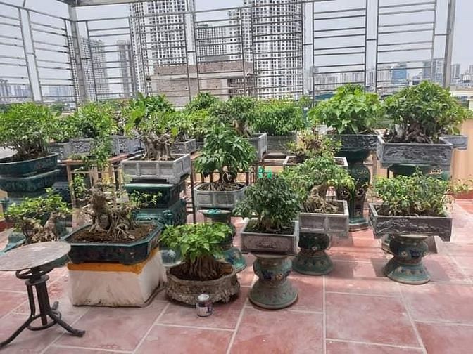 Hình ảnh bán nhà mặt phố THỊNH QUANG -ĐỐNG ĐA  93m 10T  thang máy nhập 25,3 tỷ