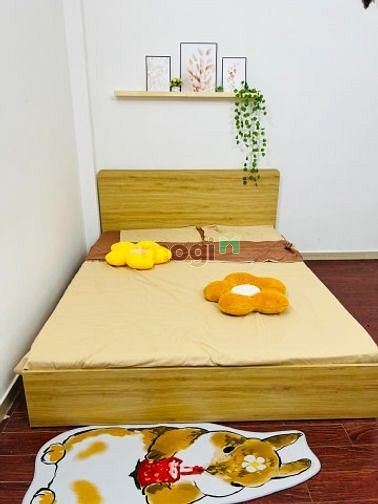 Hình ảnh CĂN HỘ 36mv STUDIO FULL Nội Thất MỚI 100% Cửa Sổ - Phường 12, Gò Vấp