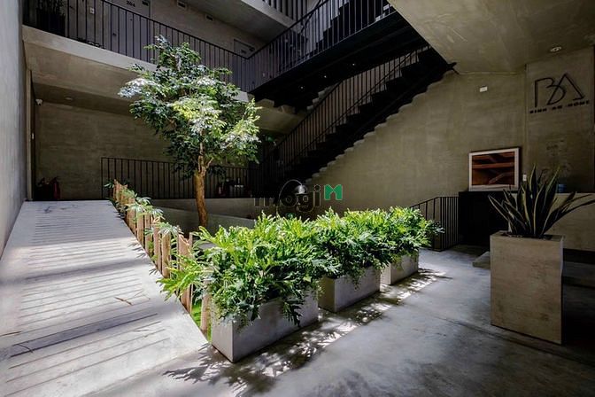 Hình ảnh ✅ Căn Hộ Cao Cấp 1PN Decor Kiến Trúc Cây Xanh Cực Đẹp Bình An Quận 2