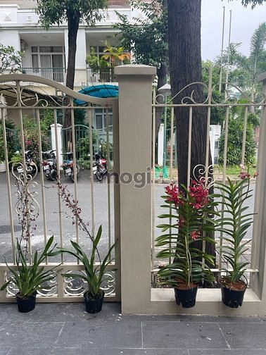 Hình ảnh Cho thuê Biệt thự Hưng Thái, Quận 7, Tp.HCM . DT 200m2 . 4pn, 48tr/th.