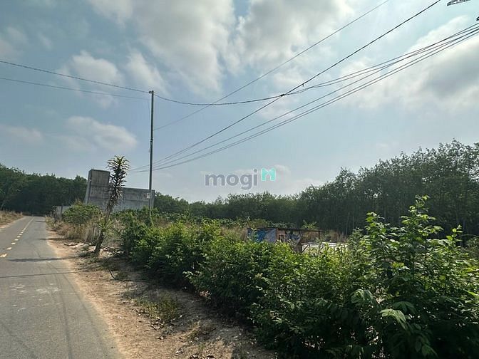 Hình ảnh Bán gấp mảnh vườn 1000m2, gần trường học Trừ Văn Thố