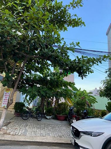 Hình ảnh Bán lô đất đep 100m2 MT Lý Tử Tấn, sát Bà Rô, đầu tuyến Sơn Trà