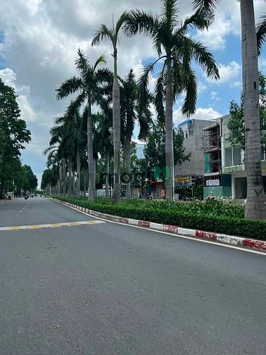 Hình ảnh Bán đất nền mặt tiền Phạm Thế Hiển, Phường 7, Quận 8,sổ hồng riêng