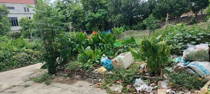 Hình ảnh Bán đất thổ cứ Tráng Việt Mê Linh