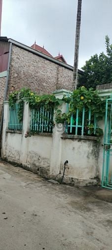 Hình ảnh Bán đất thổ cư Tráng Việt, Mê Linh, Hà Nội
