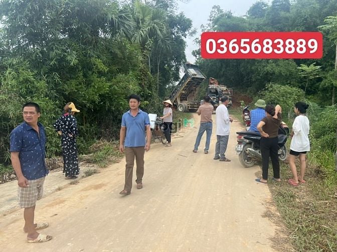 Hình ảnh Đất nền phân lô Triệu Sơn Dt: 180m - 200m2
