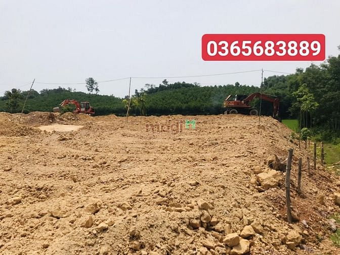 Hình ảnh Đất nền phân lô Triệu Sơn Dt: 180m - 200m2