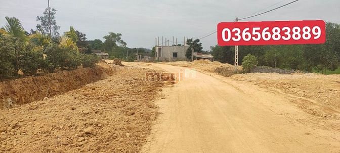 Hình ảnh Đất nền phân lô Triệu Sơn Dt: 180m - 200m2