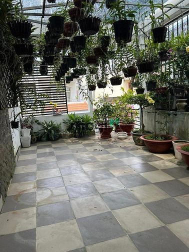 Hình ảnh 🏡🌳🌞 Ngôi Nhà Mơ Ước - Mặt Tiền Đường Số Q7 🌞🌳🏡