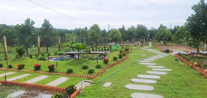 Hình ảnh Bán Đất vườn cây ăn trái, 1000m2, La Ngà, Định Quán, Đồng Nai