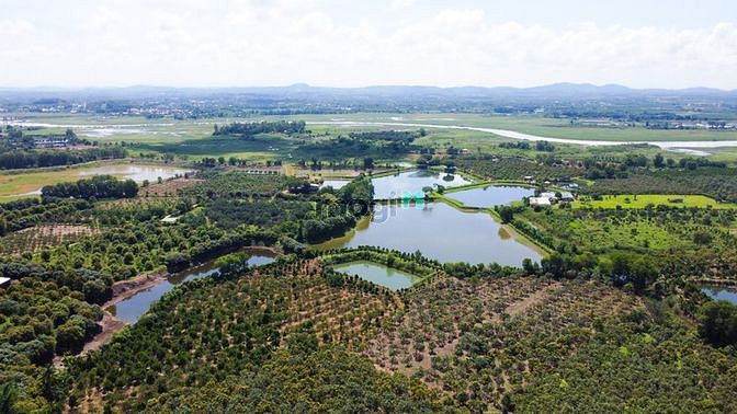 Hình ảnh Bán Đất vườn cây ăn trái, 1000m2, La Ngà, Định Quán, Đồng Nai