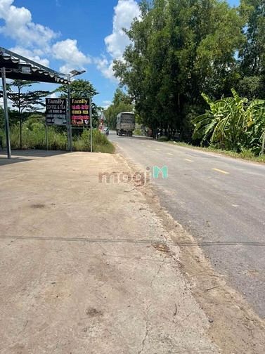 Hình ảnh Đất Chơn Thành, Bình Phước 1000m2, SHR, 330TR
