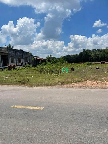 Hình ảnh Đất Chơn Thành, Bình Phước 1000m2, SHR, 330TR