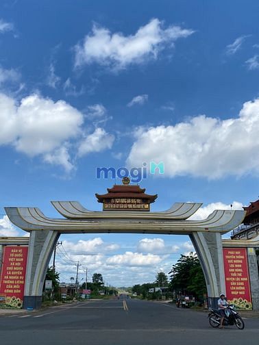 Hình ảnh Bán đất Bình Phước sổ sẵn 250 triệu/ 220m2